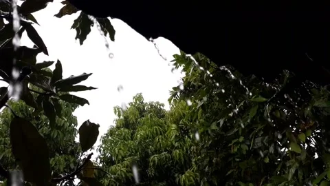 Rain on the Roof Stock Footage 219610949