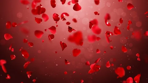 Rain rose looping. Stock Footage 101139596