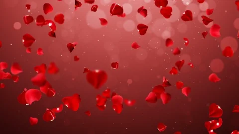 Rain rose looping. Stock Footage 101140482