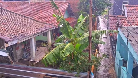 Rain in rural area Stock Footage 290091438