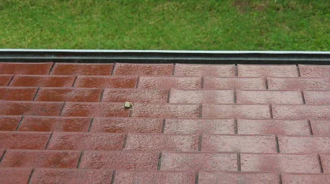 Rain Scene 01 動画素材 796609