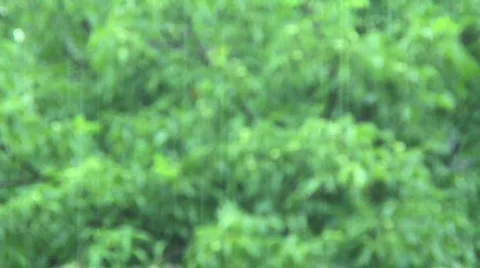 Rain Scene 02 Video stock 796614