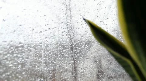 Rain on Screen Stock Footage 11059233