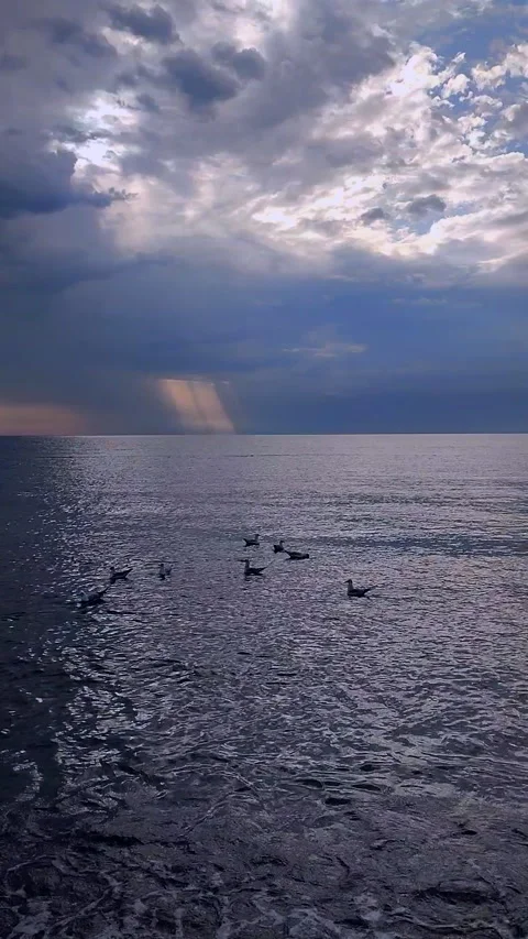 Rain sea Rain falling sea Cloudy rainy stormy weather Dark rainy clouds Vertical Stock Footage 322201045