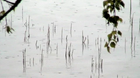 Rain at seashore Stock-Footage 91796