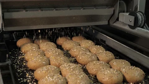 Rain of seed over bread and rolls in a bakery factory Stock Footage 217945247
