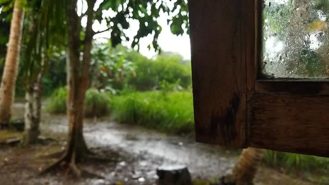 Rain seen from the window Stock Footage 205133352