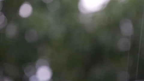 Rain, shallow depth of field 스톡 동영상 135653871