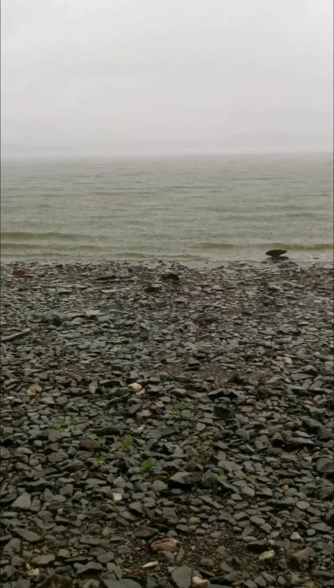 Rain on the shore of the lake vertical view through fir branches 스톡 동영상 208846158
