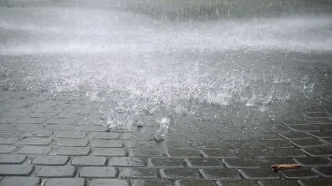 Rain shower drops falling Stock Footage 71821911