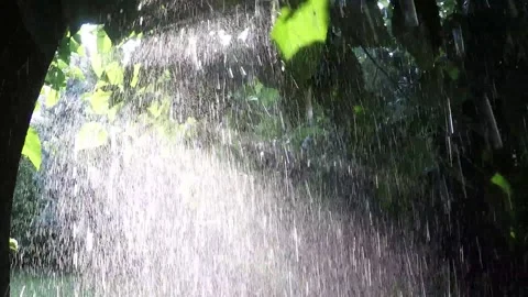 Rain shower falling on the leaves  with the rays of the sun slow motion Stock Footage 139711071