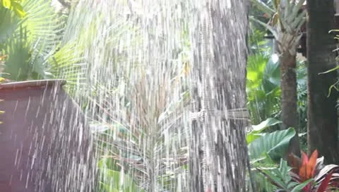 Rain shower Stock Footage 9866788