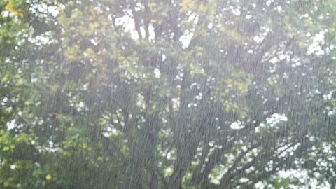A rain shower Video stock 80931809