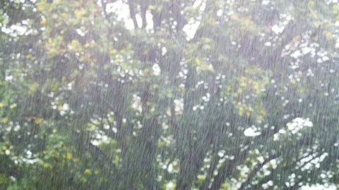A rain shower Video stock 80932205