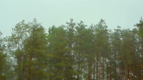 Rain Shower Stock Footage 135678485