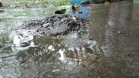 Rain shower 動画素材 217364890