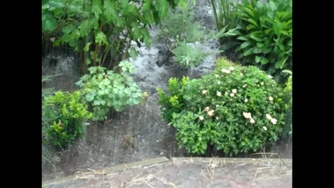 Rain shower Stock Footage 336208534