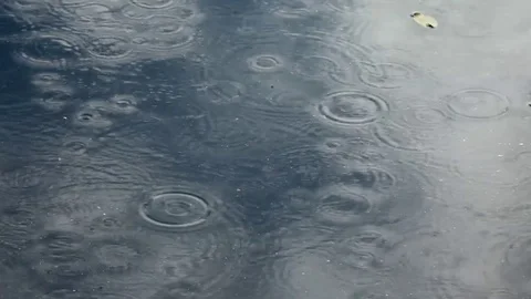 Rain shower in puddle slowing down Stock Footage 80590411