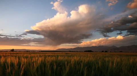 Rain Shower Sunset Stock Footage 60756345
