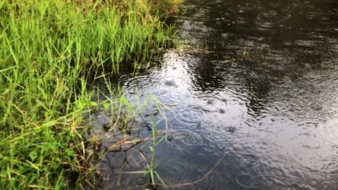 Rain Showering on Lakeside. Rain drops on Water Surface. Stock-Footage 107459727