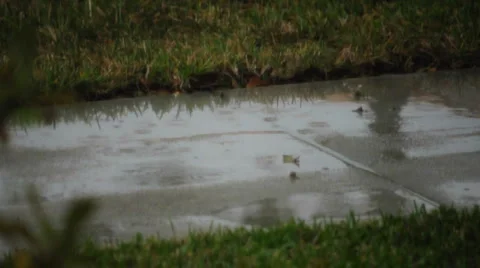 Rain on Sidewalk 動画素材 989955