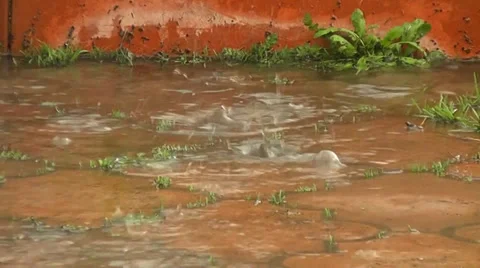 Rain on the sidewalk Vídeo Stock 38731746