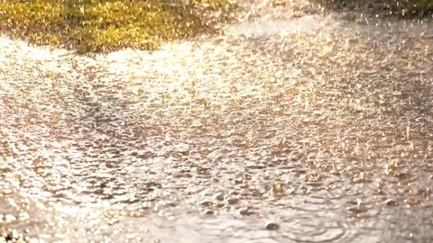Rain from sky Dripping park. summer downpour park. rainy weather outside Stock Footage 242390164