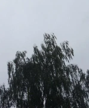 Rain sky 写真素材