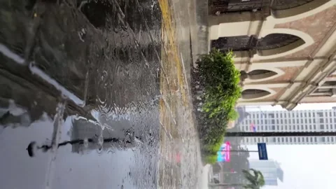 Rain slo 動画素材 235655739