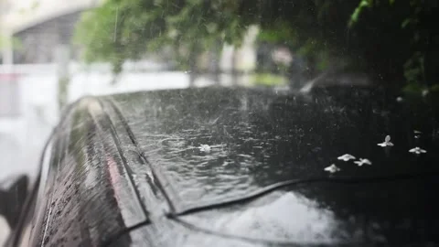 Rain slow Stock Footage 130550378