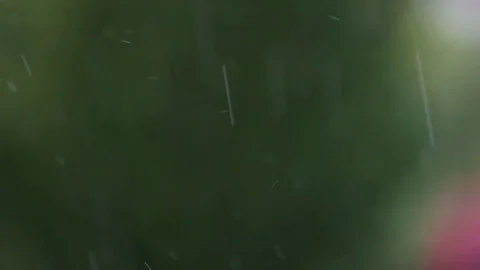 Rain in slow motion Video stock 79827959