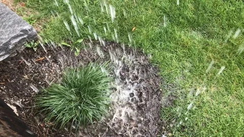 Rain in Slow Motion Stock Footage 114132763