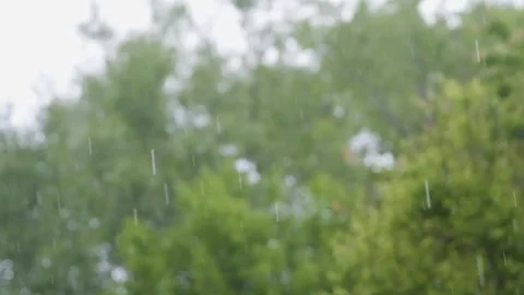 Rain in slow motion. Raindrops close-up. Raindrops falling in slow motion Stock Footage 261221311