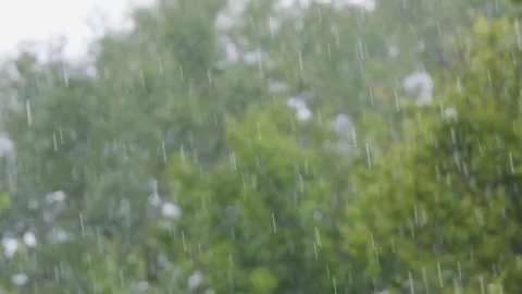 Rain in slow motion. Raindrops close-up. Raindrops falling in slow motion Stock Footage 262533945