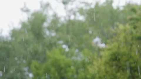 Rain in slow motion. Raindrops close-up. Raindrops falling in slow motion Stock Footage 262534499