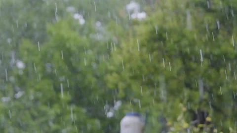 Rain in slow motion. Raindrops close-up. Raindrops falling in slow motion Stock Footage 262534517