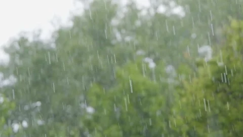 Rain in slow motion. Raindrops close-up. Raindrops falling in slow motion Stock-Footage 262770290