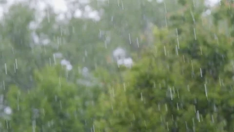 Rain in slow motion. Raindrops close-up. Raindrops falling in slow motion Stock Footage 263149821