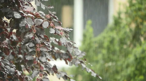 Rain in slow motion. raining background. rainy day. wet weather. season Video stock 38680693