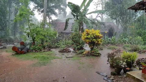 Rain in slow motion tropical domestic environment. Stock Footage