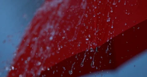 Rain slow motion umbrella Video stock 84468104