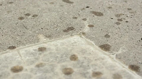 Rain slowly drops on dry cement Stock Footage 7763747