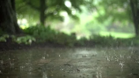 Rain Slowmo in the Garden Stock Footage 270365240