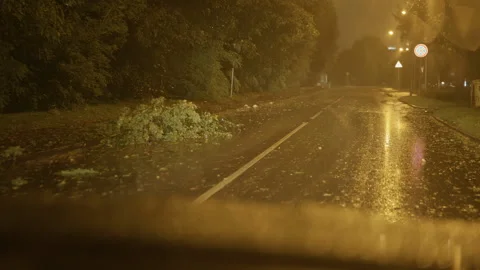 Rain-soaked empty road at night with streetlights, fallen branches, misty Stock Footage 345530509
