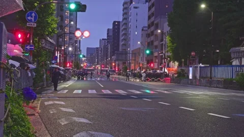 Rain-Soaked Tokyo Intersection with Traffic Lights and Spectators at Dusk Stock Footage 337551432