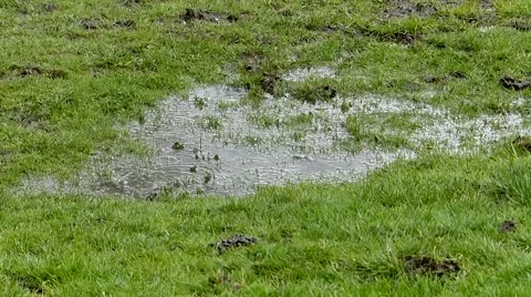 Rain soaking into ground, 2 scenes. Stock Footage 43264379