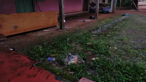 Rain soaks the ground Stock Footage 208308061