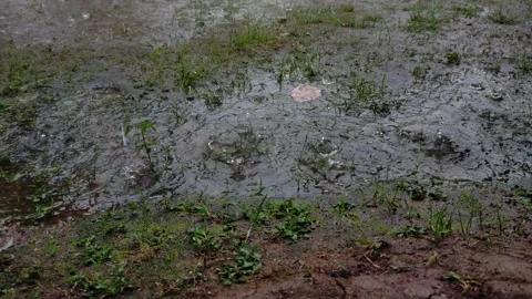 Rain soaks the ground Stock Footage 208308105
