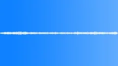 Rain Sound, Cooing Of Pigeons Background Sound Effect