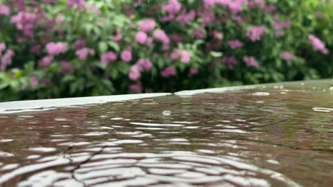 Rain splash crown on water surface with lilac blossom backdrop Stock Footage 336927025